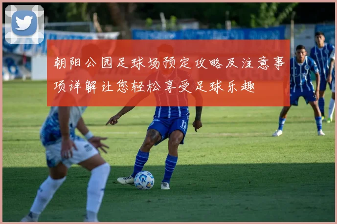 朝阳公园足球场预定攻略及注意事项详解让您轻松享受足球乐趣