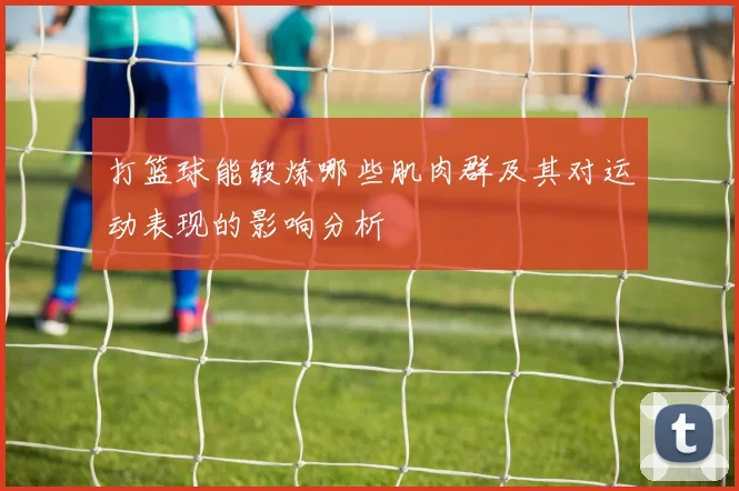 打篮球能锻炼哪些肌肉群及其对运动表现的影响分析