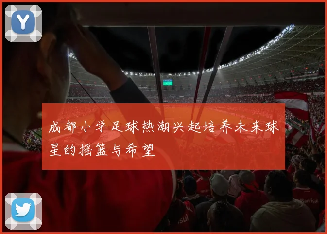 成都小学足球热潮兴起培养未来球星的摇篮与希望