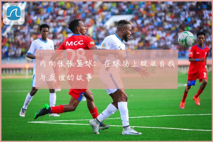 内向张张篮球：在球场上绽放自我与友谊的故事