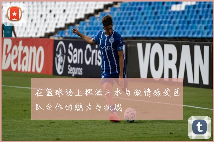 在篮球场上挥洒汗水与激情感受团队合作的魅力与挑战