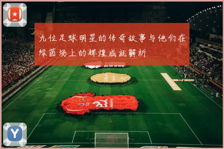 九位足球明星的传奇故事与他们在绿茵场上的辉煌成就解析